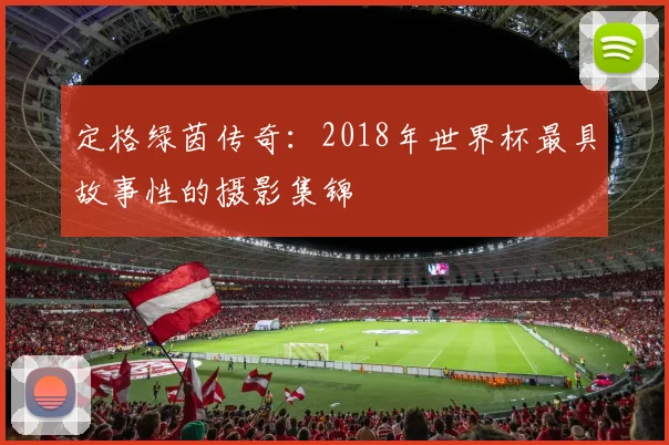 定格绿茵传奇：2018年世界杯最具故事性的摄影集锦