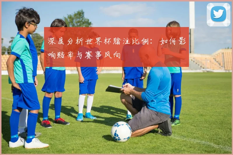 深度分析世界杯赌注比例：如何影响赔率与赛事风向