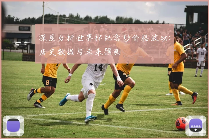 深度分析世界杯纪念钞价格波动：历史数据与未来预测