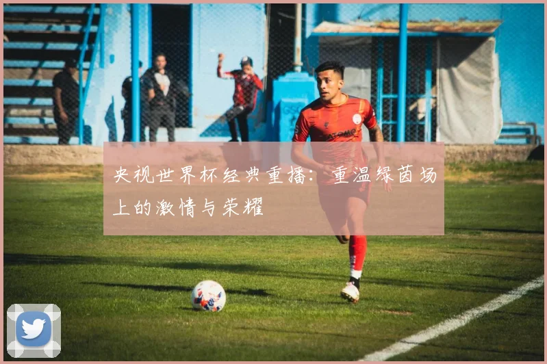 央视世界杯经典重播：重温绿茵场上的激情与荣耀