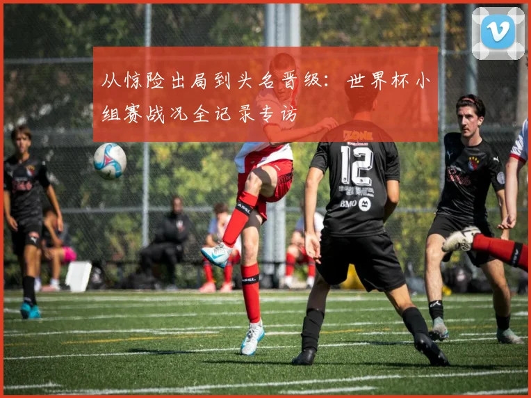 从惊险出局到头名晋级：世界杯小组赛战况全记录专访